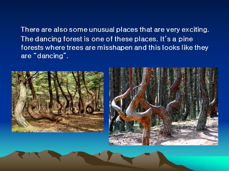 There are also some unusual places that are very exciting. The dancing forest is